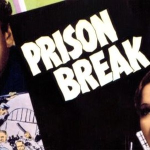 Prison Break photo 10