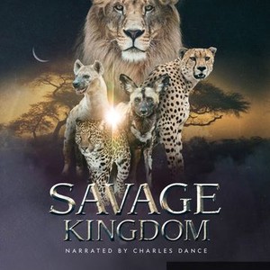 Savage Kingdom - Rotten Tomatoes