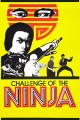 Challenge of the Ninja