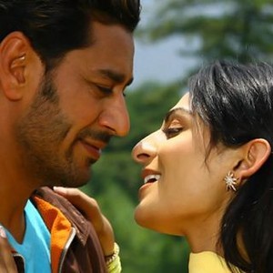 Dil Apna Punjabi Rotten Tomatoes