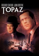 Topaz poster image