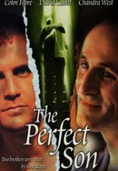 The Perfect Son poster image