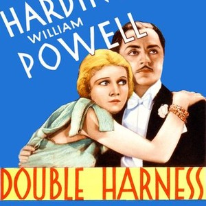 Double Harness photo 7