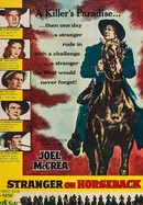 Stranger on Horseback poster image