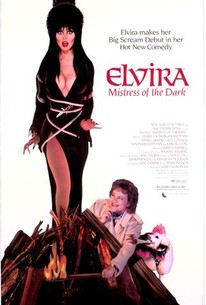 Elvira, Mistress of the Dark poster