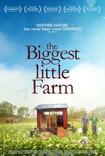 The Biggest Little Farm 2019 Rotten Tomatoes