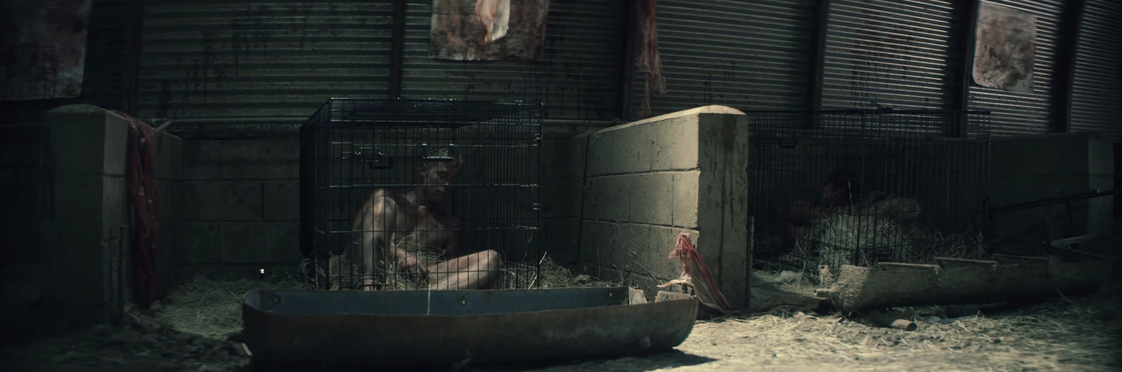 “La Granja” una brutal película de consumismo y terror caníbal