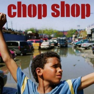 Chop Shop (2007) photo 11