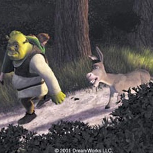 Shrek (MIKE MYERS) picks up the feisty Princess Fiona (CAMERON DIAZ) to carry her back to Duloc, with The Donkey (EDDIE MURPHY) in DreamWorks Pictures' irreverent computer animated comedy SHREK. photo 12