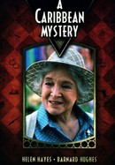 A Caribbean Mystery poster image