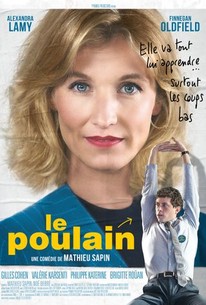 We Need Your Vote (Le poulain)