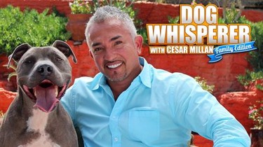 Cesar hotsell millan family