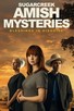 Poster for