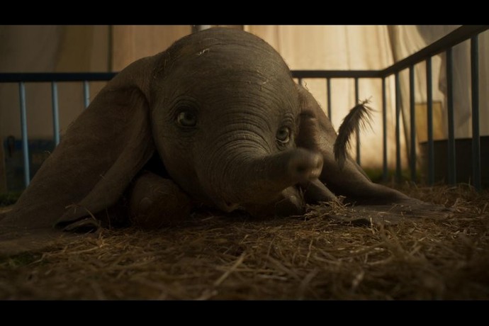 New dumbo movie online