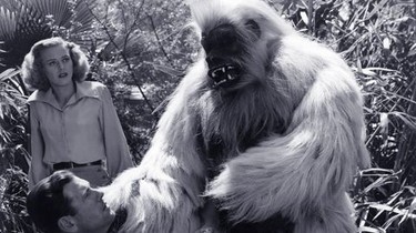 White Pongo | Rotten Tomatoes