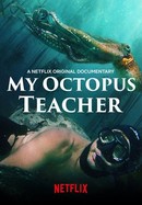My Octopus Teacher poster image