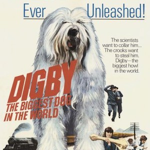 Digby, the Biggest Dog in the World photo 2