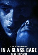 In a Glass Cage poster image