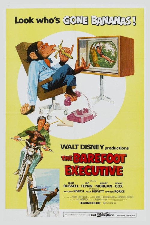 The Barefoot Executive poster