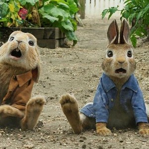 Peter Rabbit - Rotten Tomatoes