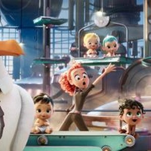 "Storks photo 20"