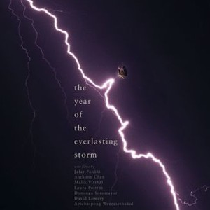 The Year of the Everlasting Storm photo 10