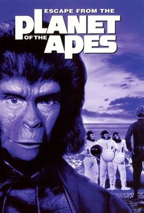 Escape From the Planet of the Apes poster