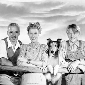 THE SUN COMES UP, from left: Lloyd Nolan, Jeanette MacDonald, Lassie, Claude Jarman Jr., 1949