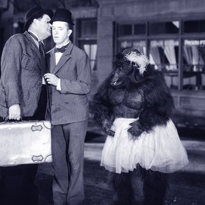 The Chimp (1932) photo 2