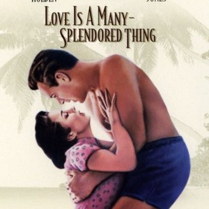 Love Is a Many Splendored Thing photo 13