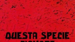 Questa specie d'amore | Rotten Tomatoes