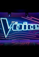 The Voice poster image