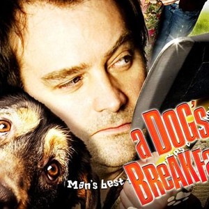 A Dog's Breakfast - Rotten Tomatoes