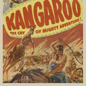 "Kangaroo photo 8"