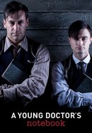 A Young Doctor's Notebook poster image
