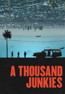 A Thousand Junkies poster image