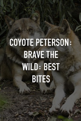 Coyote Peterson: Brave the Wild: Best Bites: Season 1, Episode 5 - Rotten  Tomatoes