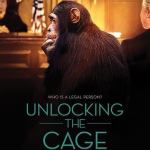 Unlocking the Cage (2016) photo 11
