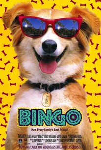 Watch trailer for Bingo