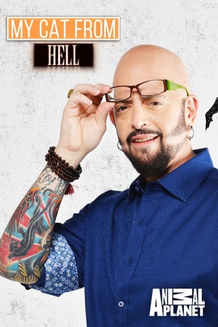 My Cat From Hell Season 6 Episode 3 Rotten Tomatoes