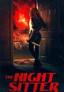 The Night Sitter poster image