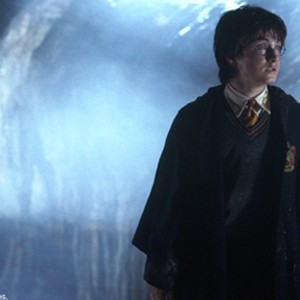DANIEL RADCLIFFE as Harry Potter in Warner Bros. Pictures' "Harry Potter and the Chamber of Secrets."