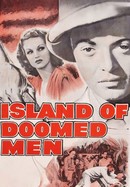 Island of Doomed Men poster image