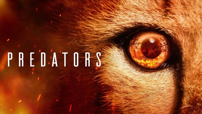 Predator netflix top