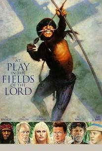 At Play in the Fields of the Lord poster