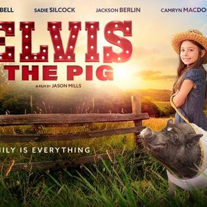 elvis the pig movie review