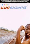 George Washington poster image