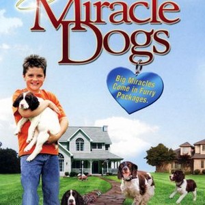 Miracle Dogs (2003) photo 7