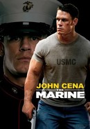 The Marine poster image