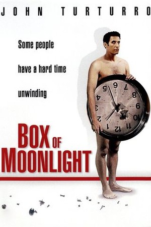 Box of Moonlight poster